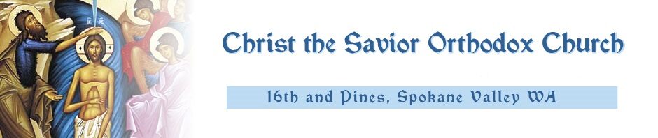 Logo for Christ the Savior Orthodox Church
